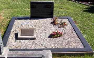 Full-size image