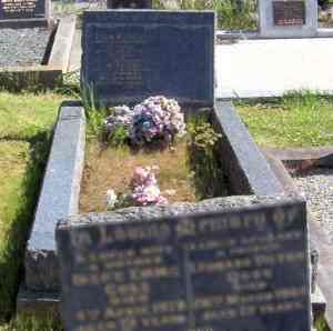 Full-size image