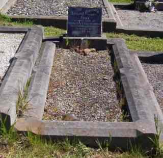 Full-size image