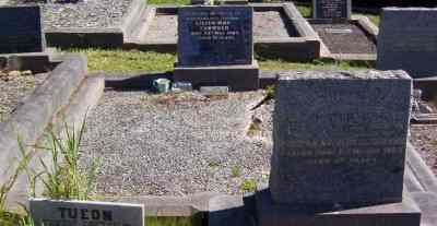 Full-size image