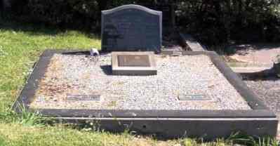 Full-size image