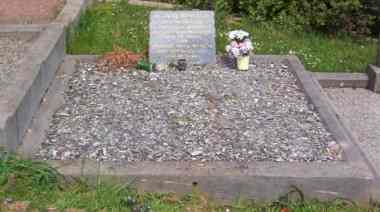 Full-size image