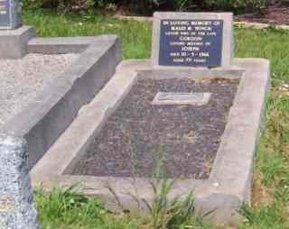 Full-size image