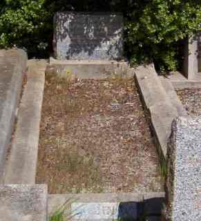Full-size image