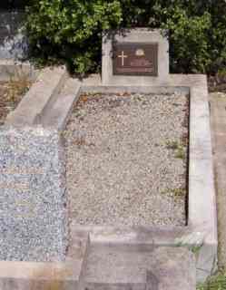 Full-size image