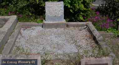 Full-size image