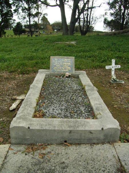Full-size image