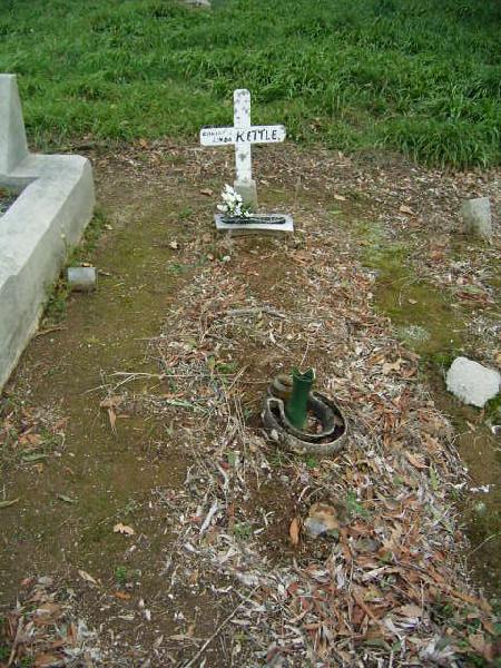 Full-size image
