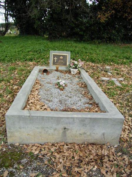 Full-size image