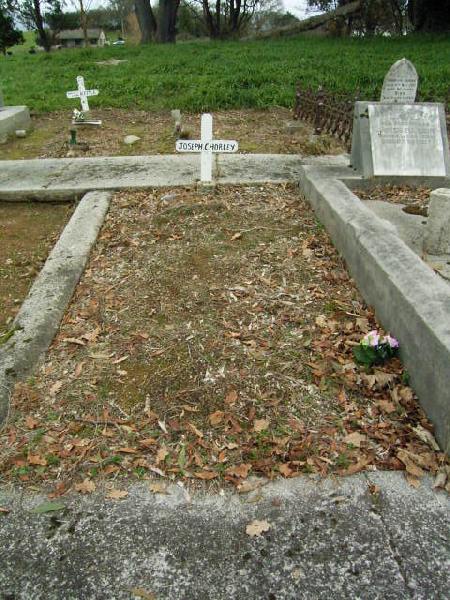 Full-size image