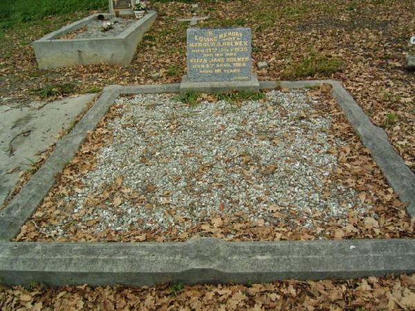 Full-size image