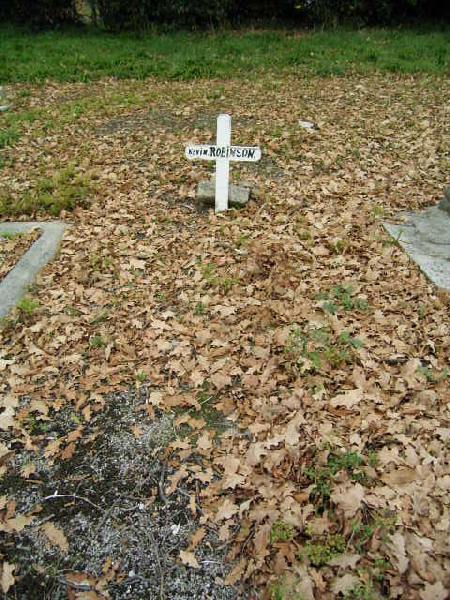 Full-size image