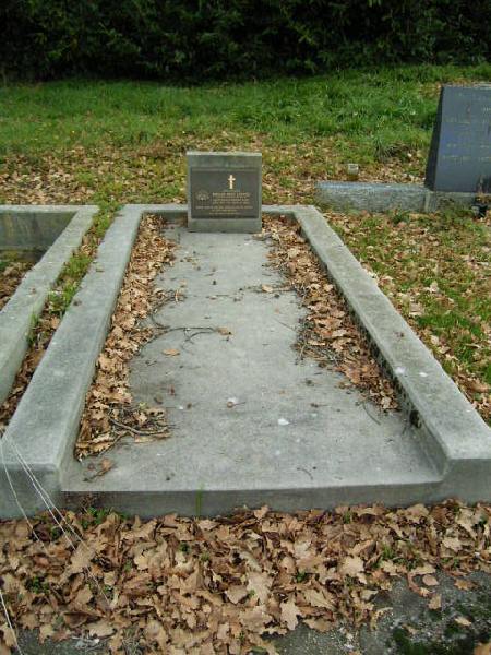 Full-size image
