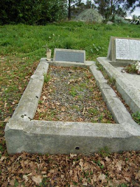Full-size image