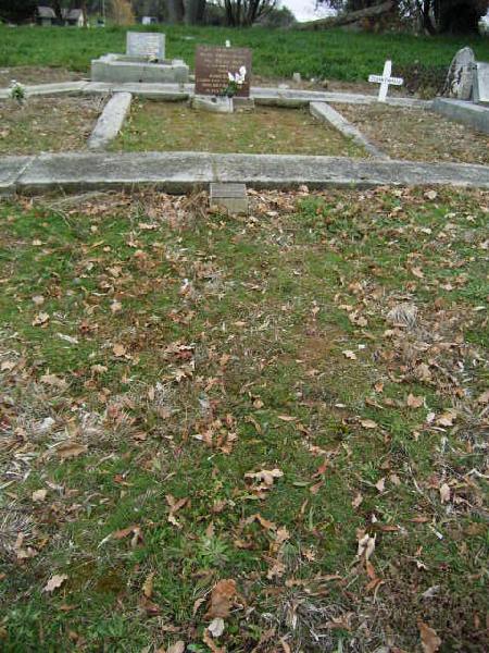 Full-size image