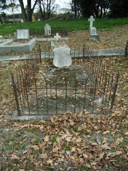 Full-size image
