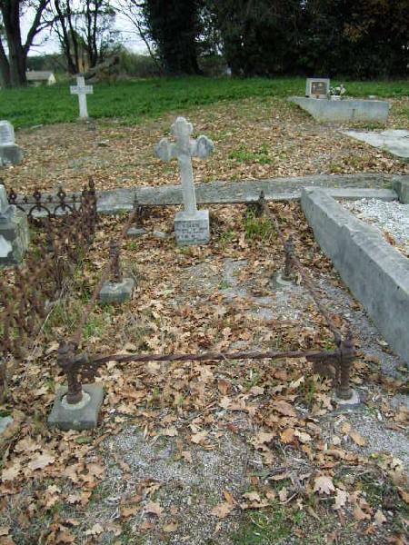 Full-size image