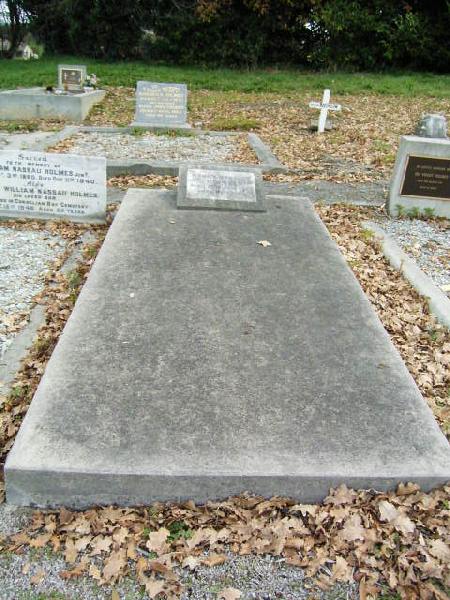 Full-size image