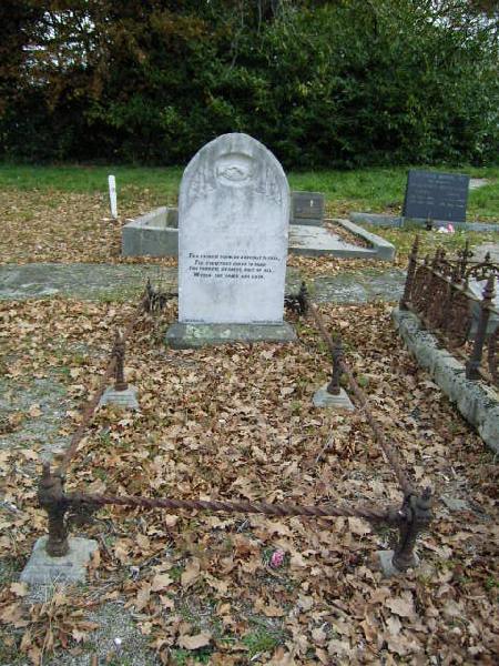 Full-size image
