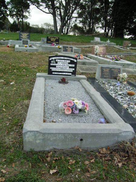 Full-size image
