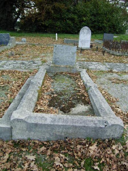 Full-size image