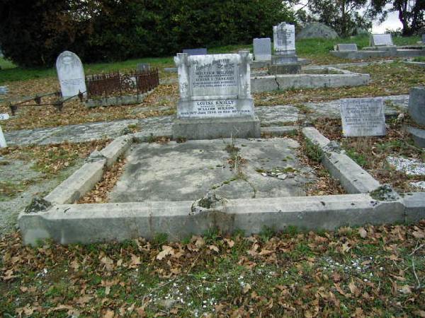 Full-size image