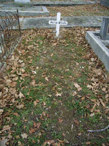 Full-size image