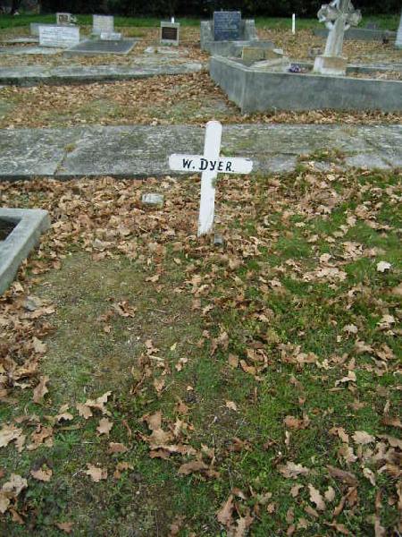 Full-size image