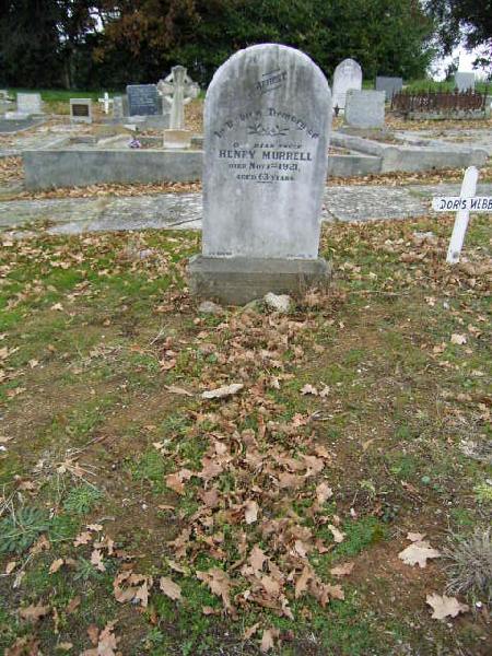 Full-size image