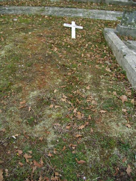 Full-size image