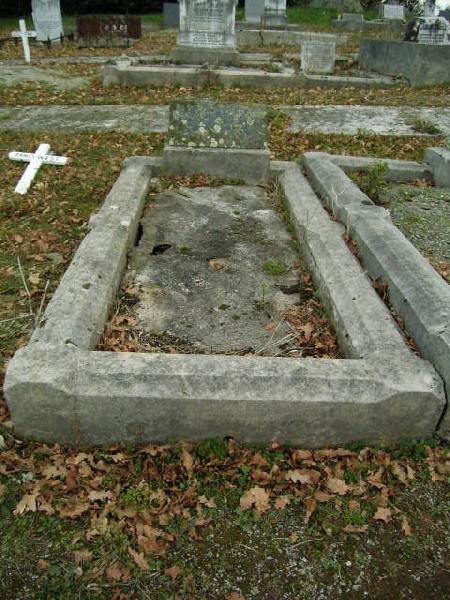 Full-size image