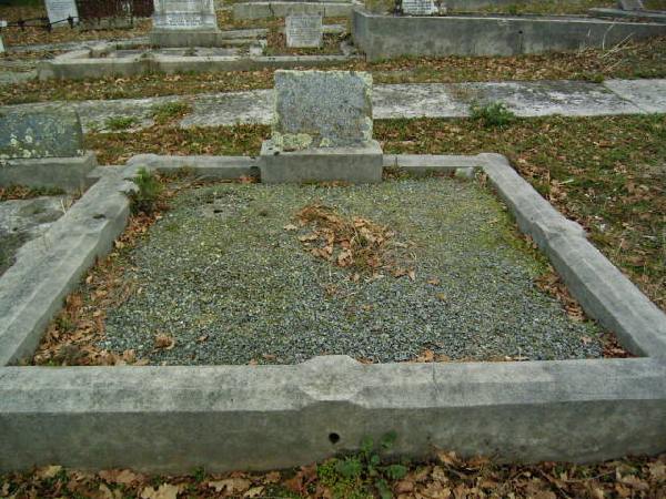 Full-size image