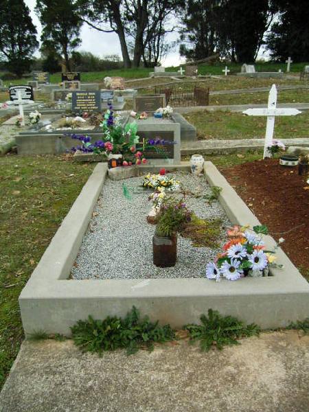 Full-size image