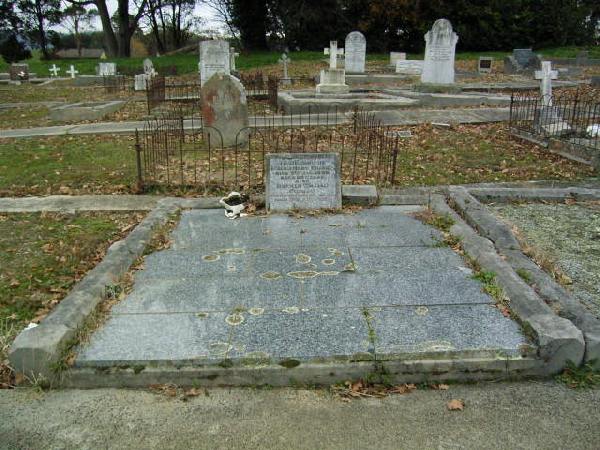 Full-size image