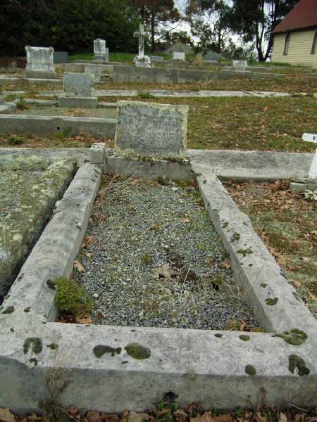Full-size image