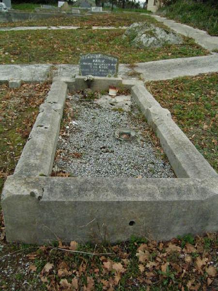 Full-size image