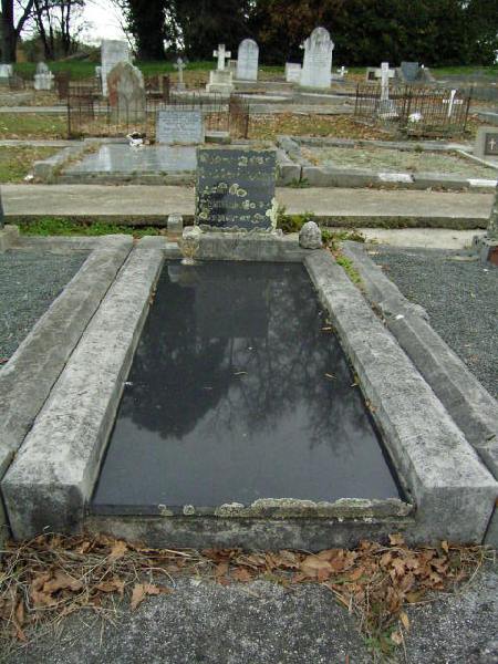 Full-size image