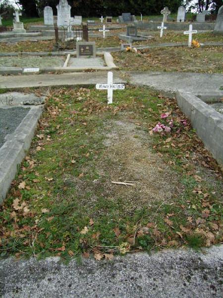 Full-size image