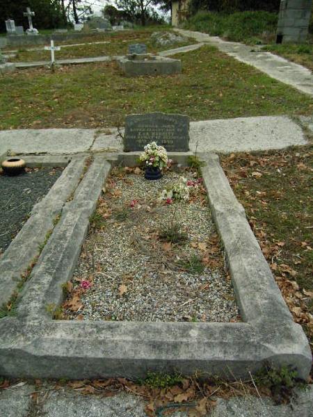 Full-size image