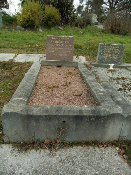 Full-size image