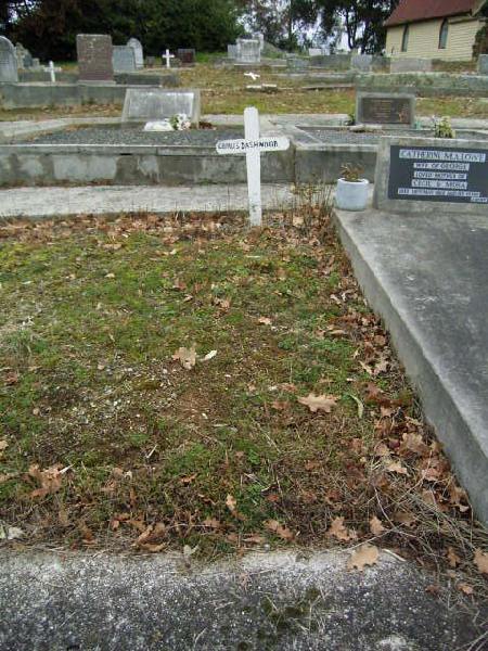Full-size image