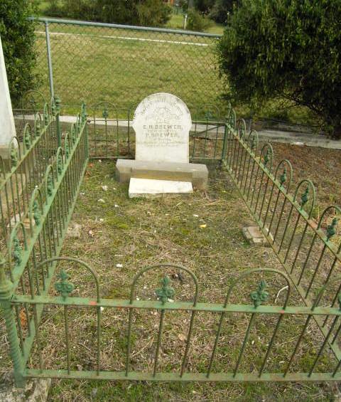 Full-size image