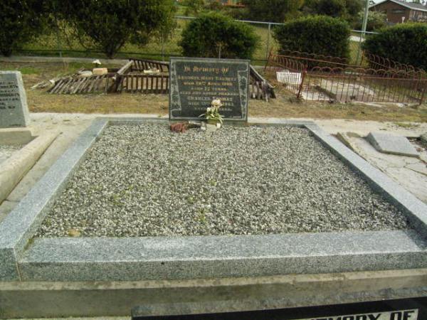 Full-size image