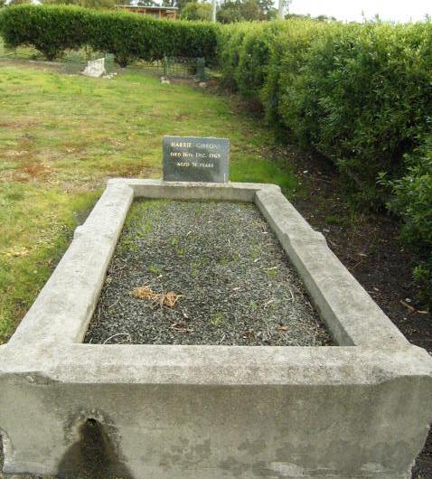 Full-size image