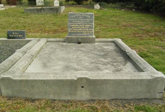 Full-size image