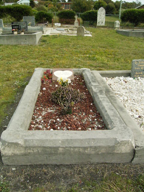 Full-size image