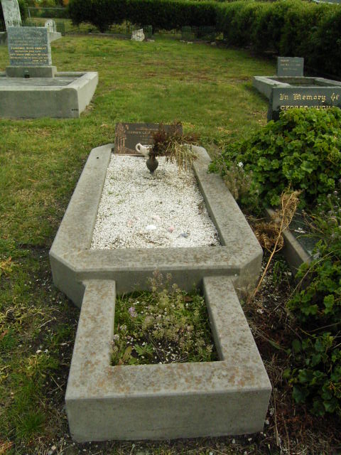 Full-size image