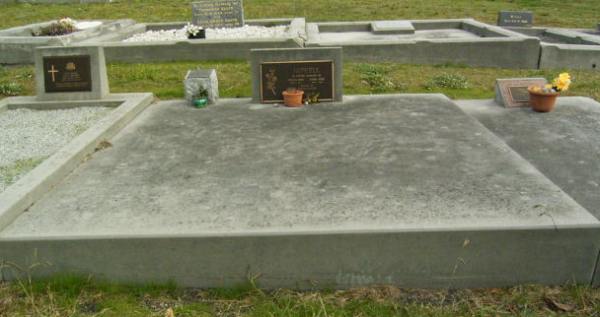 Full-size image