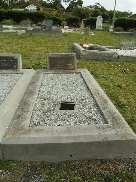 Full-size image