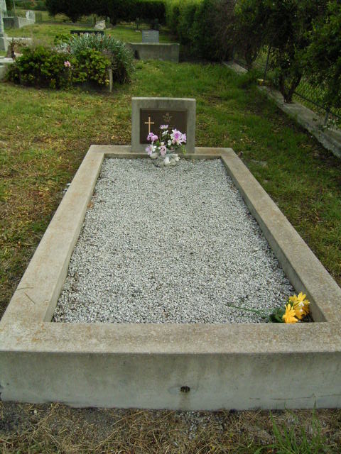 Full-size image